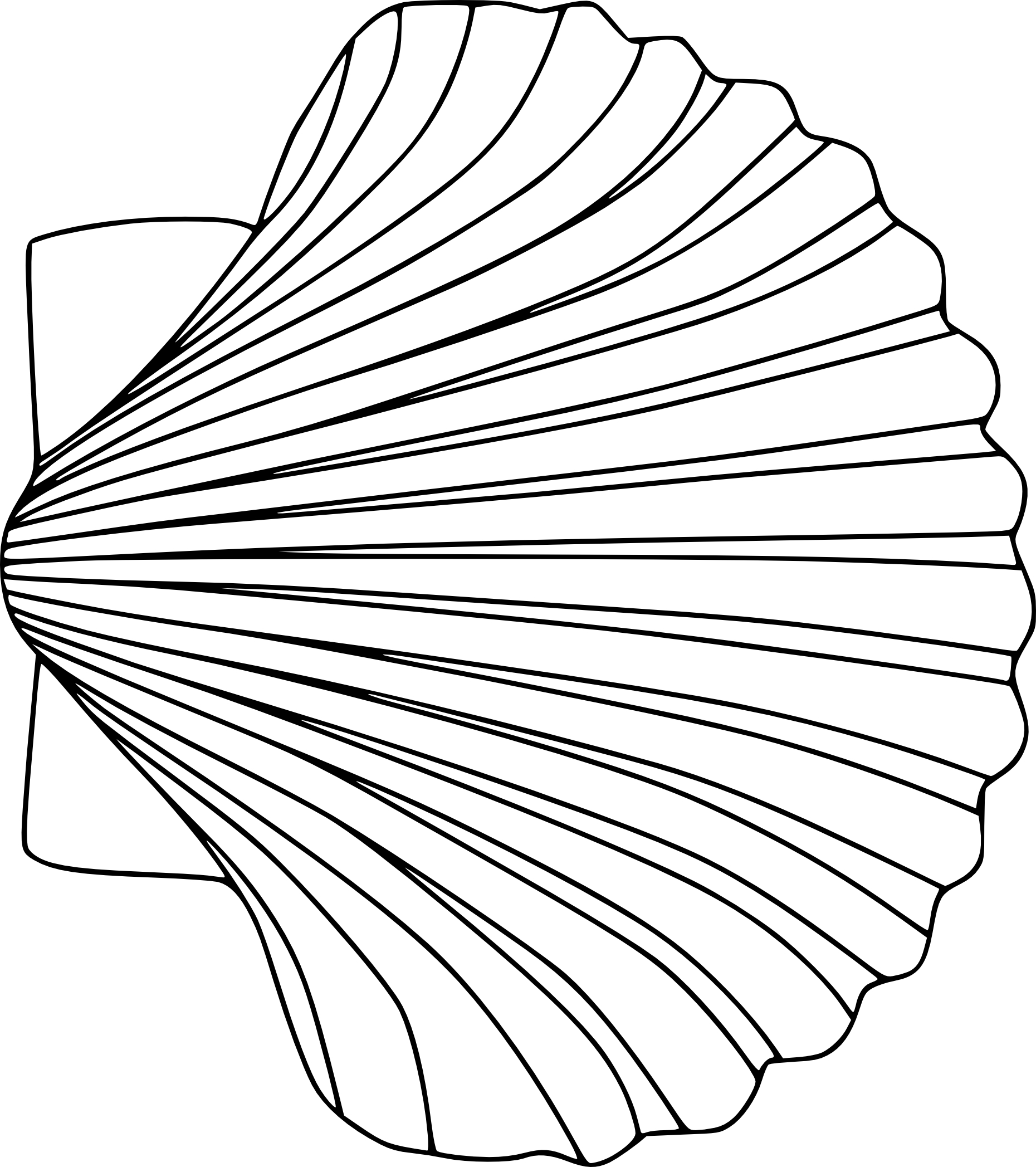 Scallop Shell coloring page