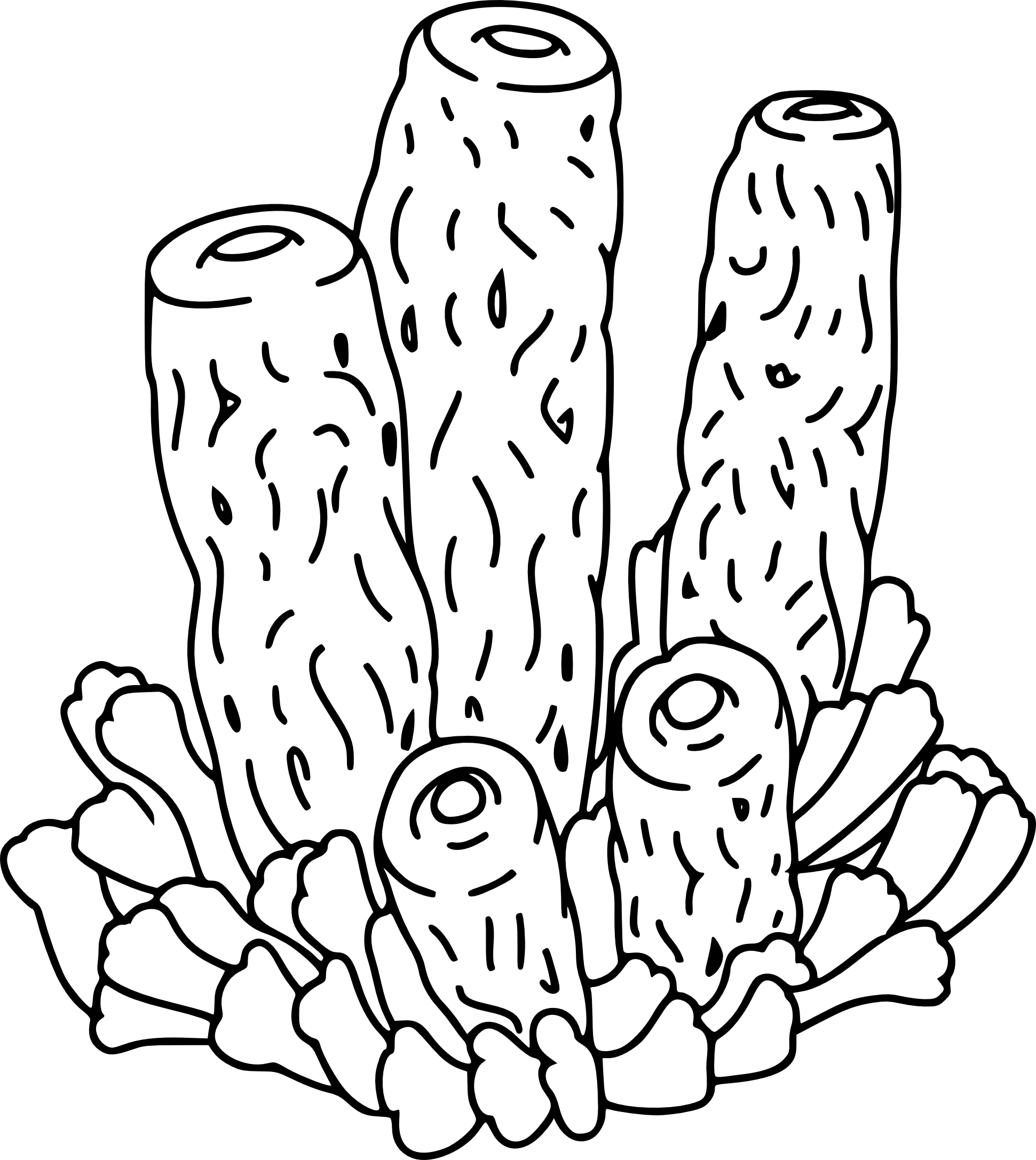 Coral coloring page