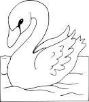 Coloriage cygne