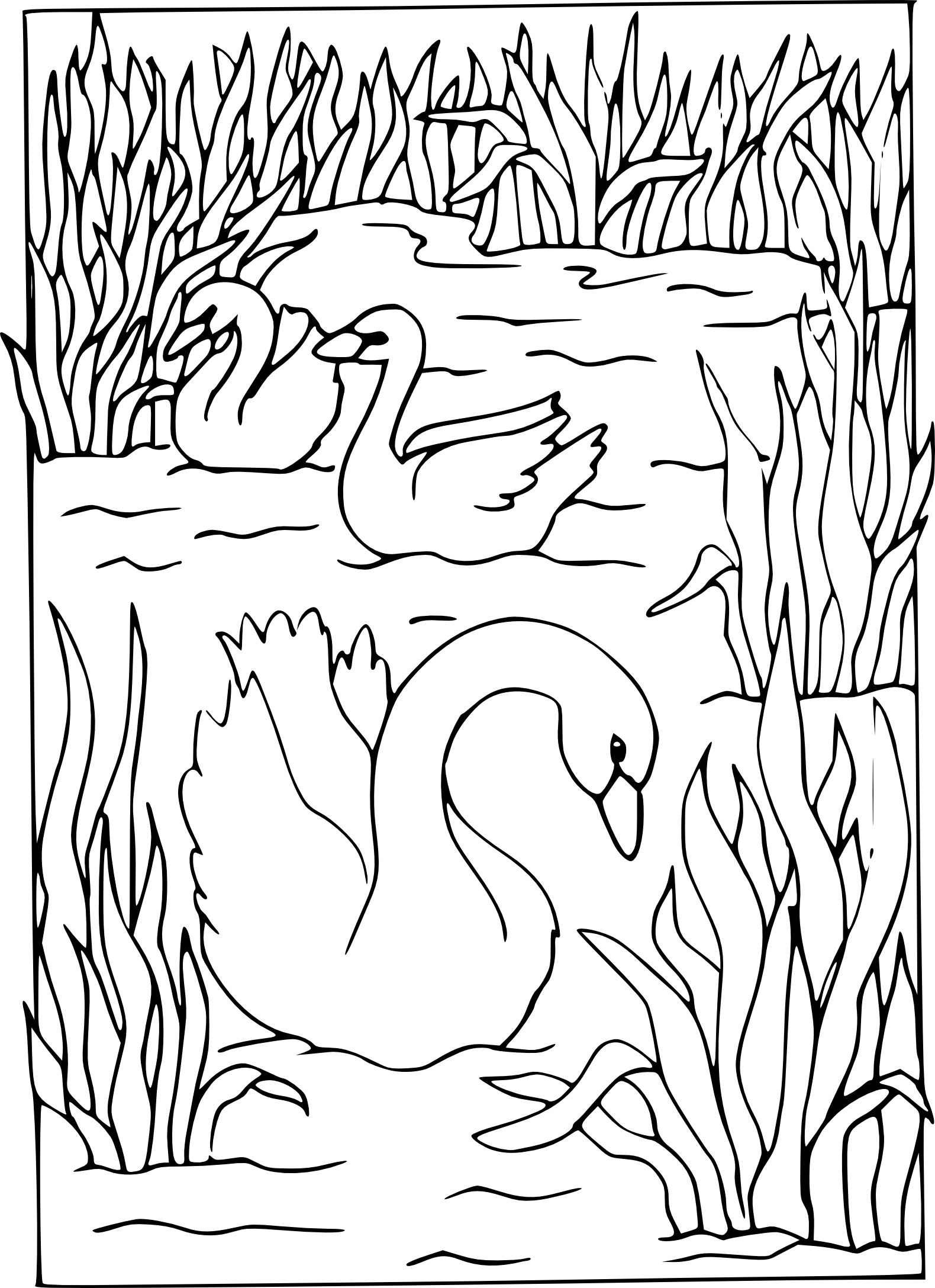Coloriage cygnes dans un lac à imprimer