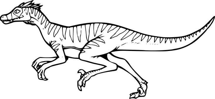 Disegno di Dinosauro Velociraptor da colorare