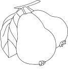 Guava coloring page