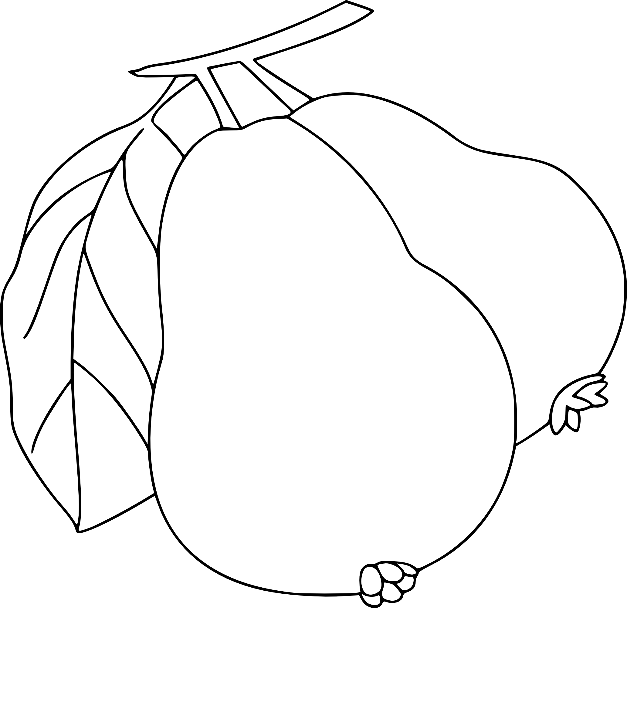 Guava coloring page