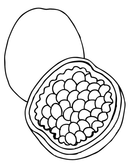 Pomegranate Fruit coloring page