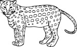 Guepard coloring page