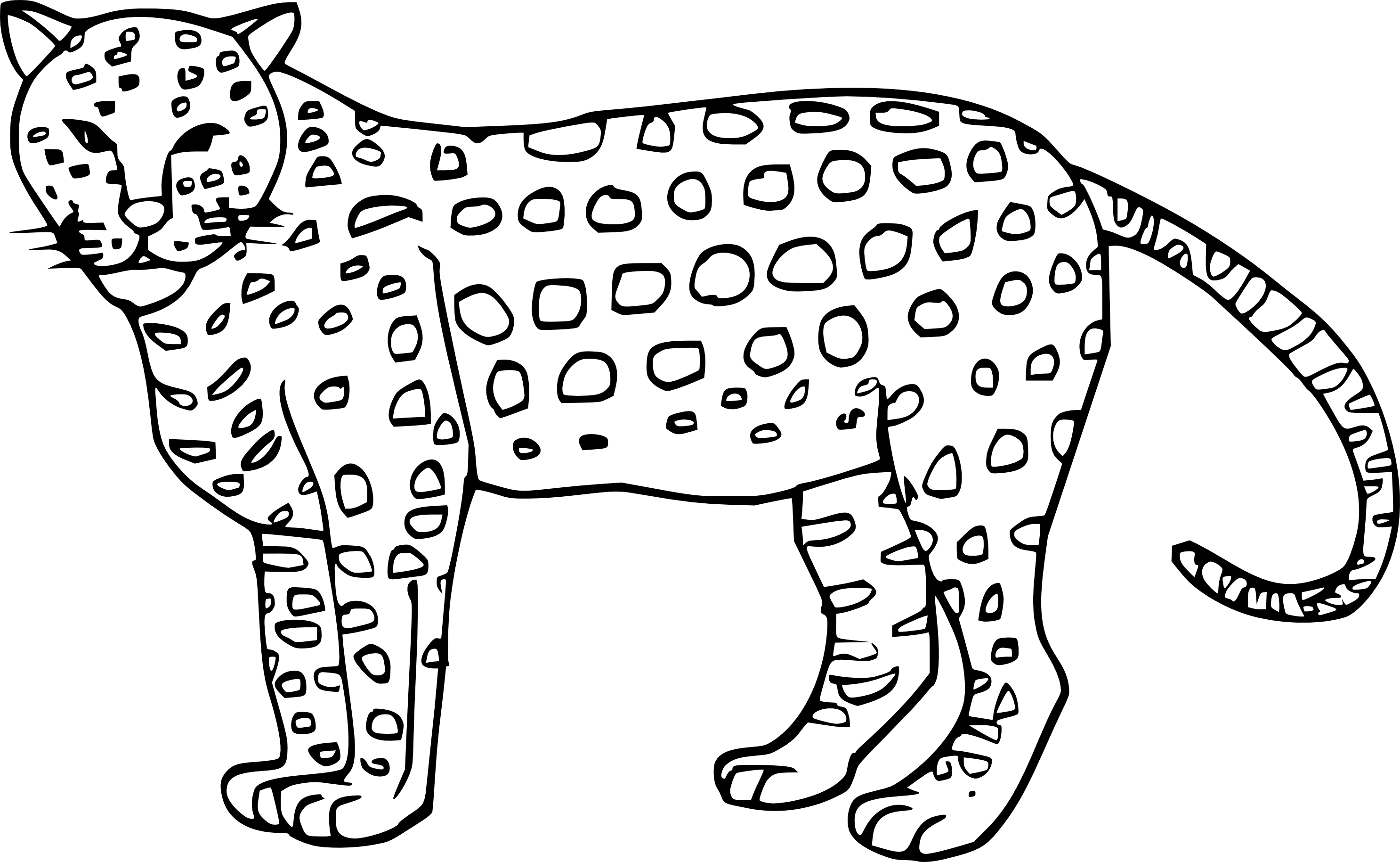 Guepard coloring page