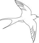 Swallow coloring page