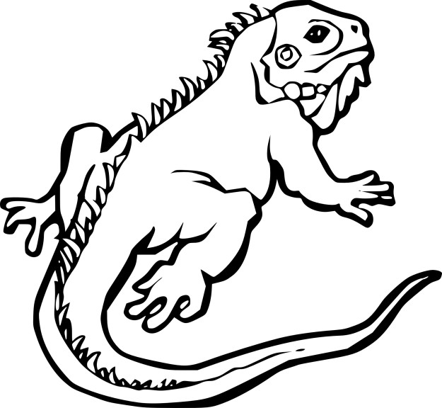 Iguana coloring page