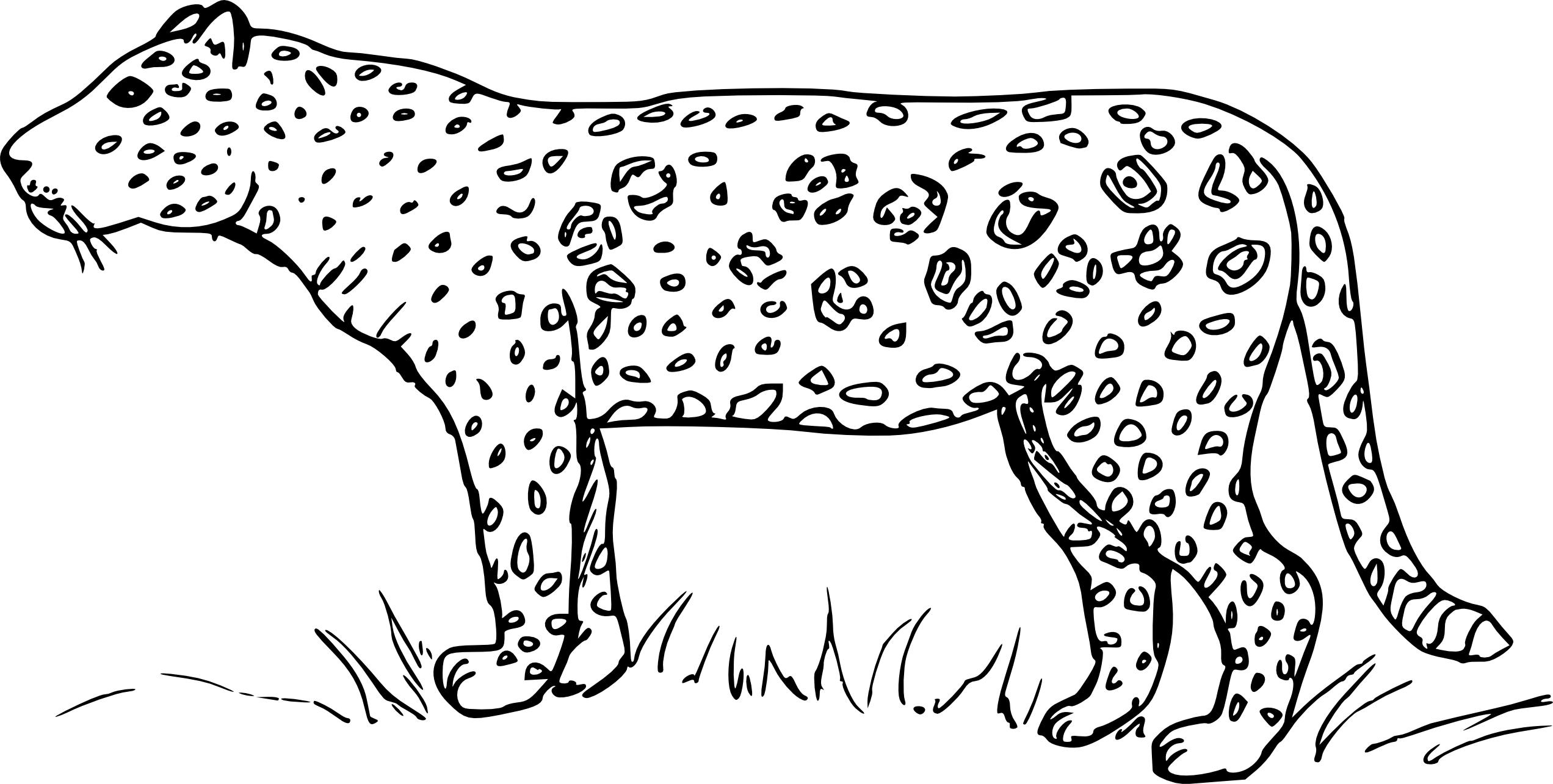 Coloriage jaguar