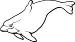 Porpoise coloring page