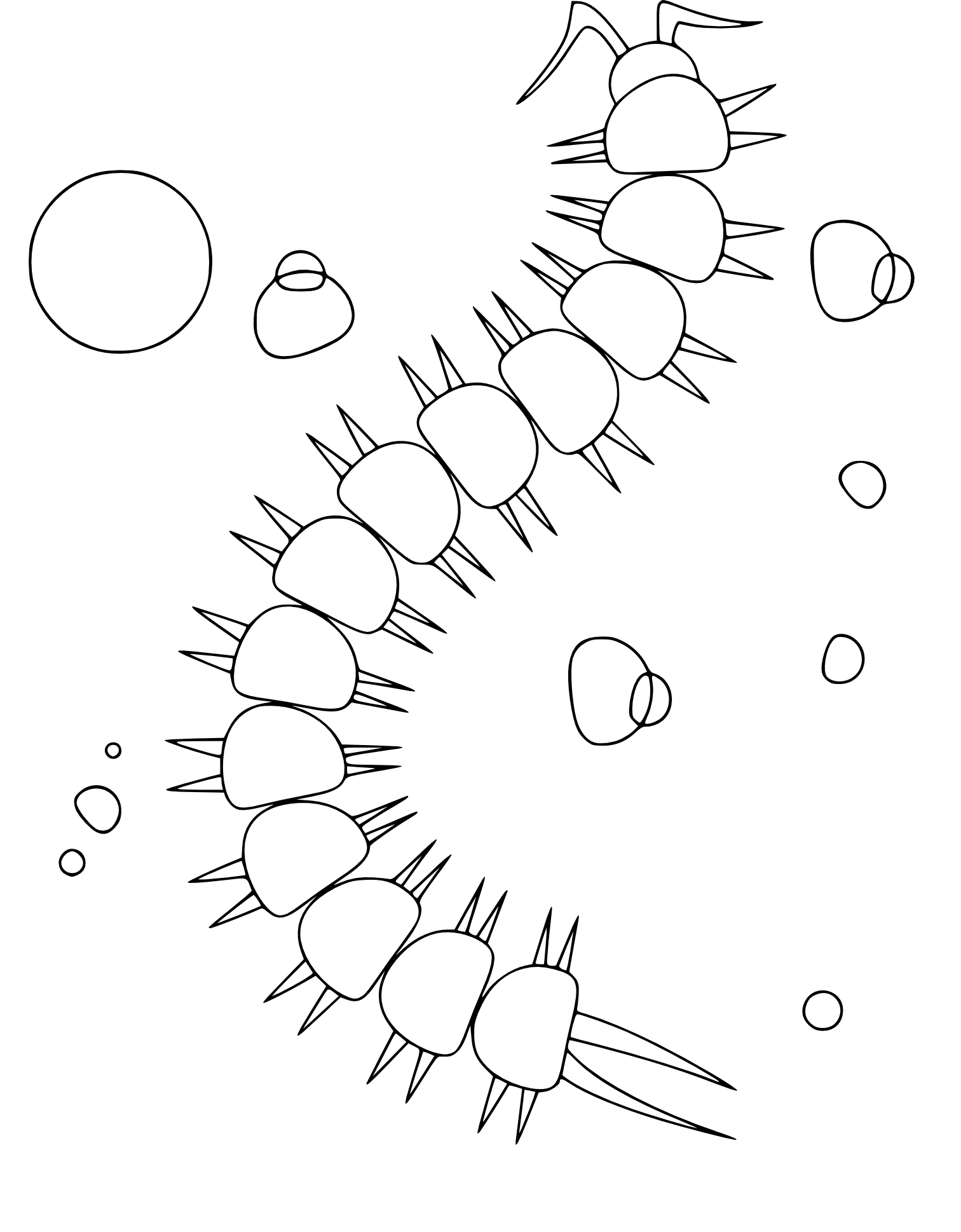 Coloriage mille pattes