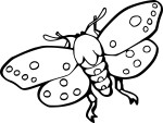 Moth coloring page