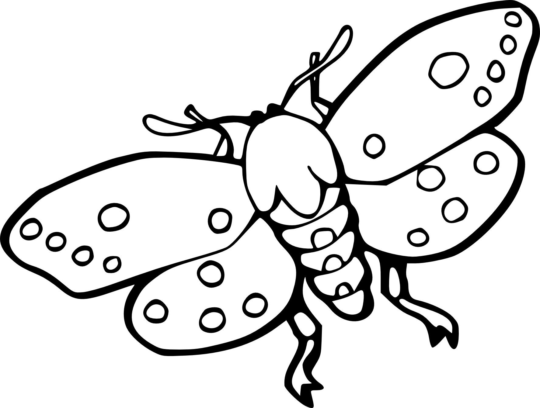 Moth coloring page