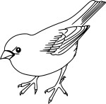 Sparrow coloring page