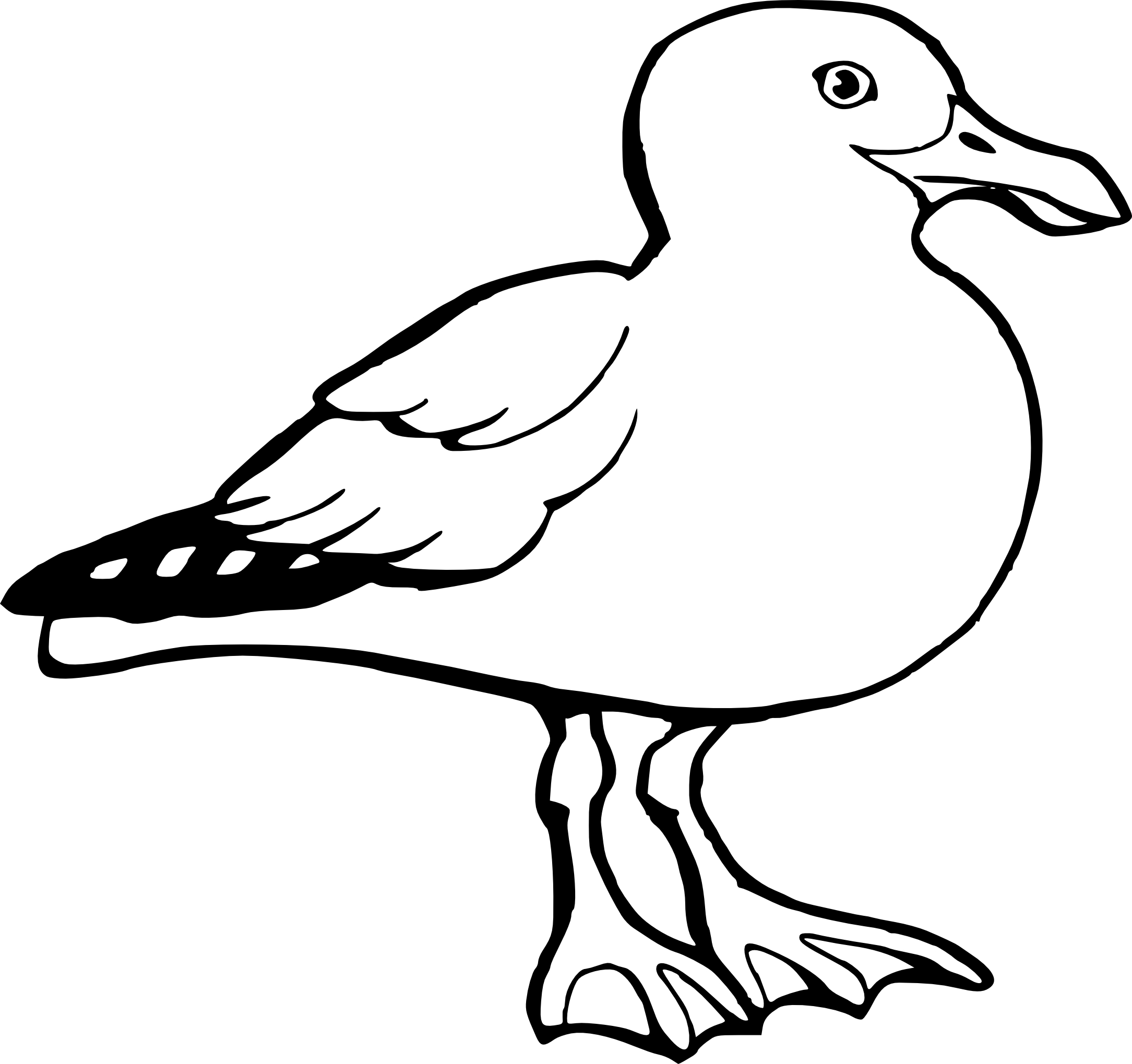 Coloriage mouette rieuse