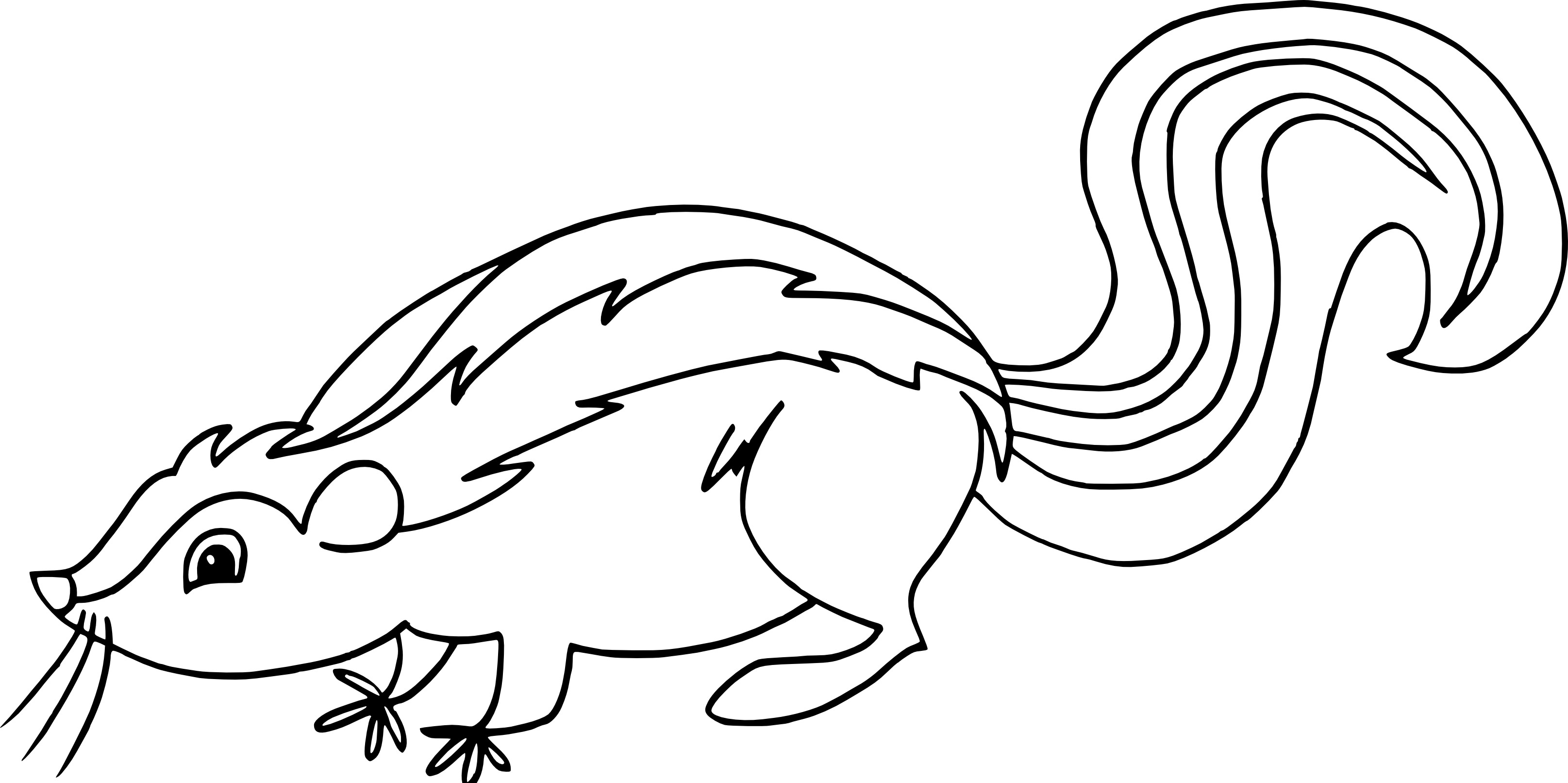 Skunk coloring page