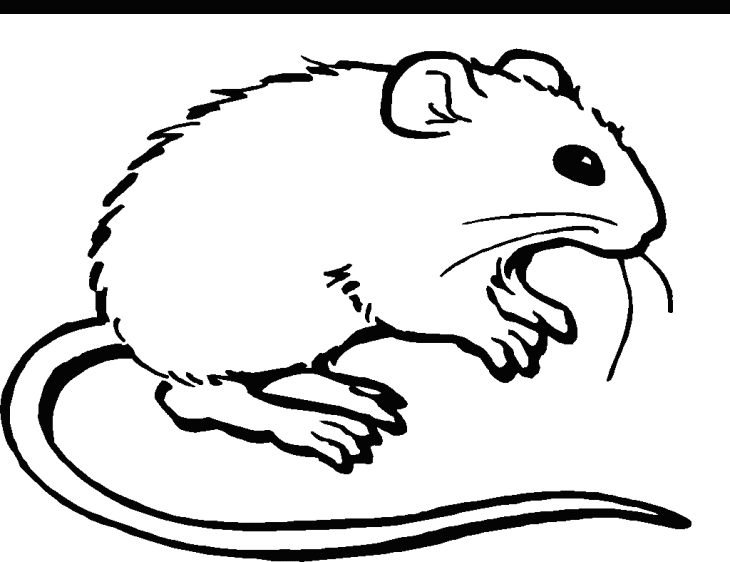 Mouse coloring page 2