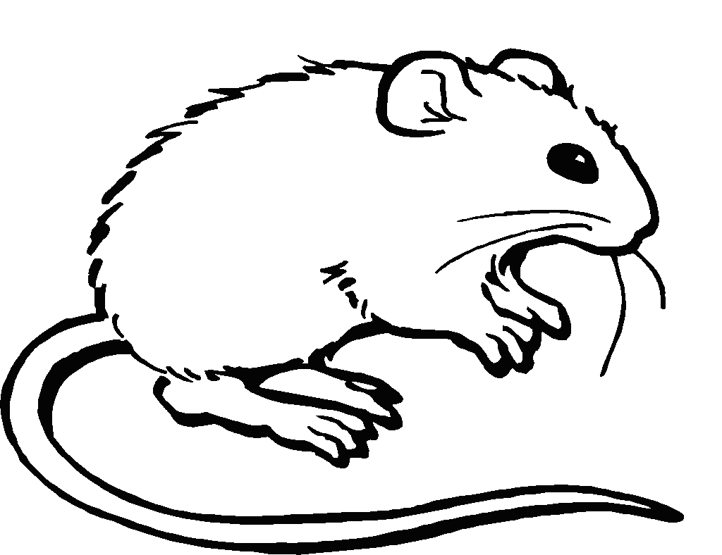 Mouse coloring page 2