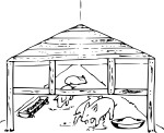 Pigsty coloring page