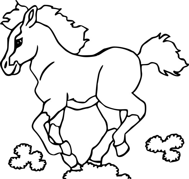 Foal coloring page