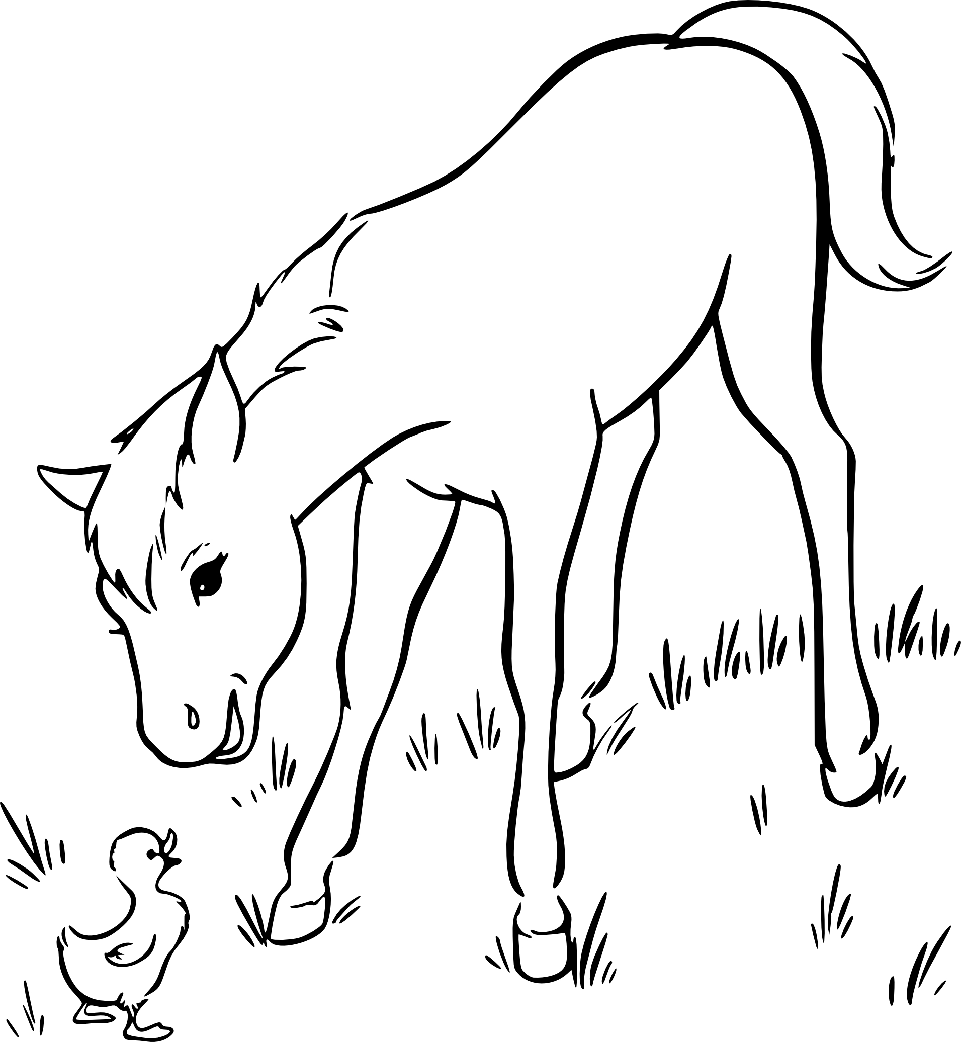 Foal And Duckling coloring page