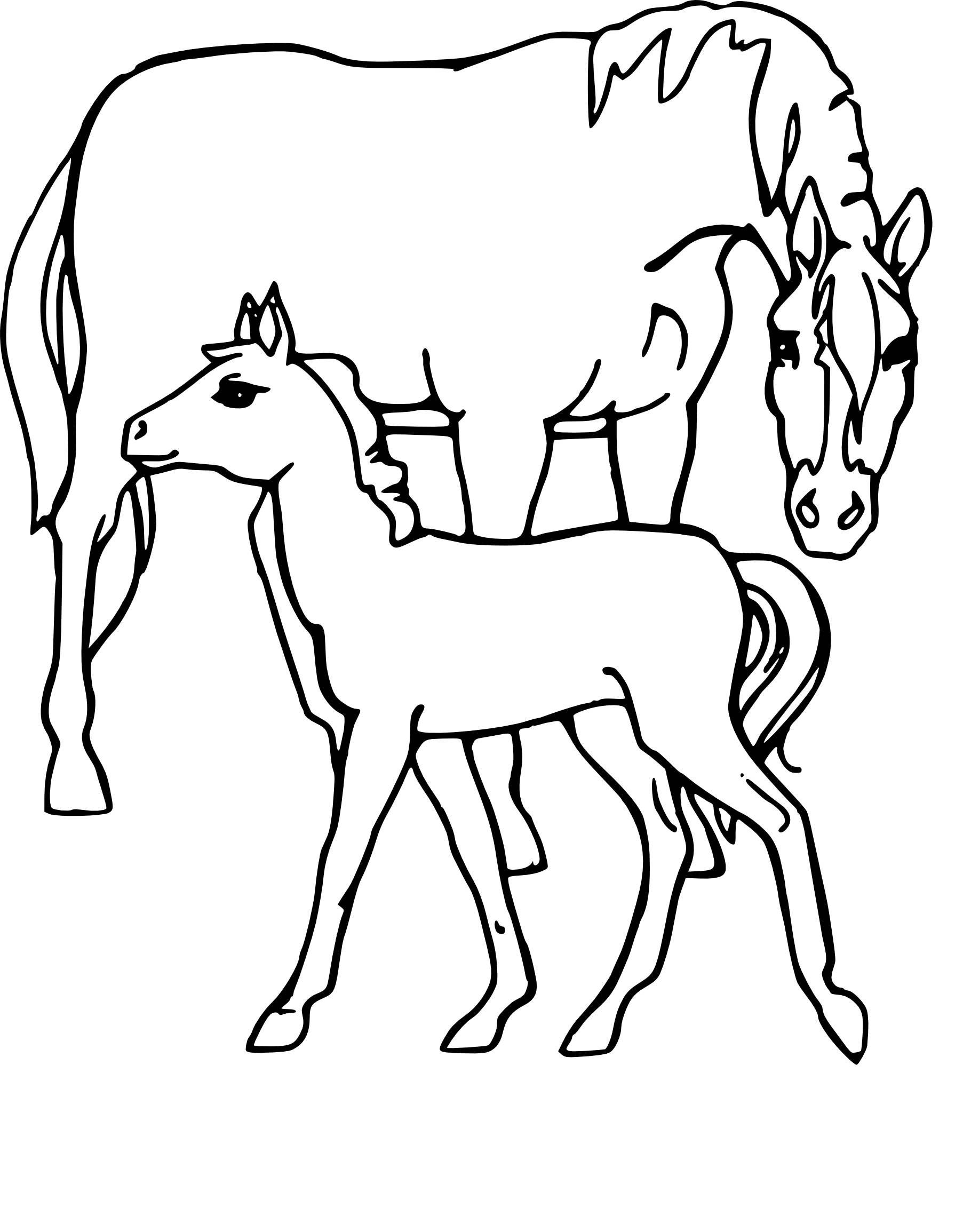 Foal And Mare coloring page