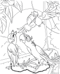 Rio Perla Blu coloring page