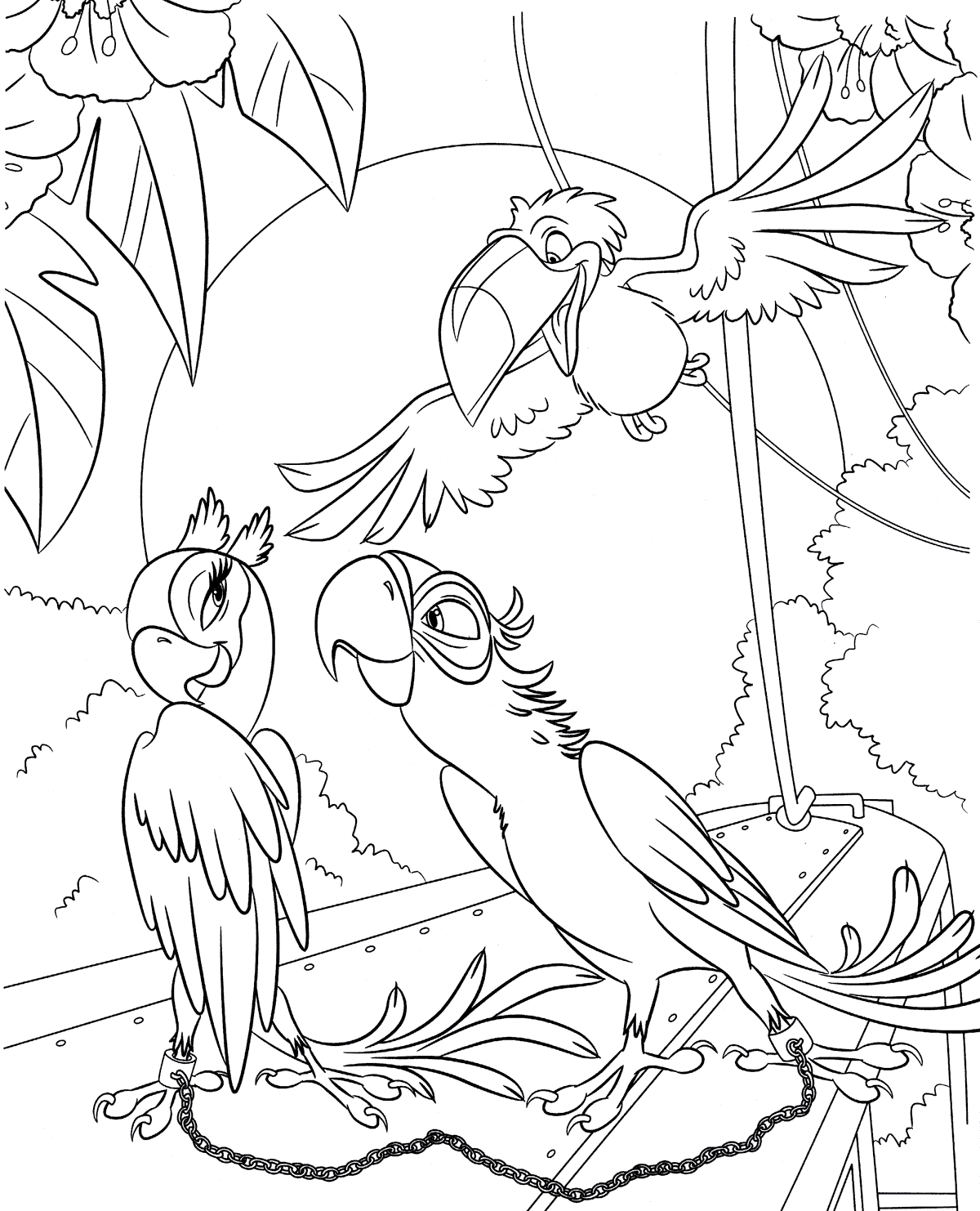 Coloriage Rio Perla Blu