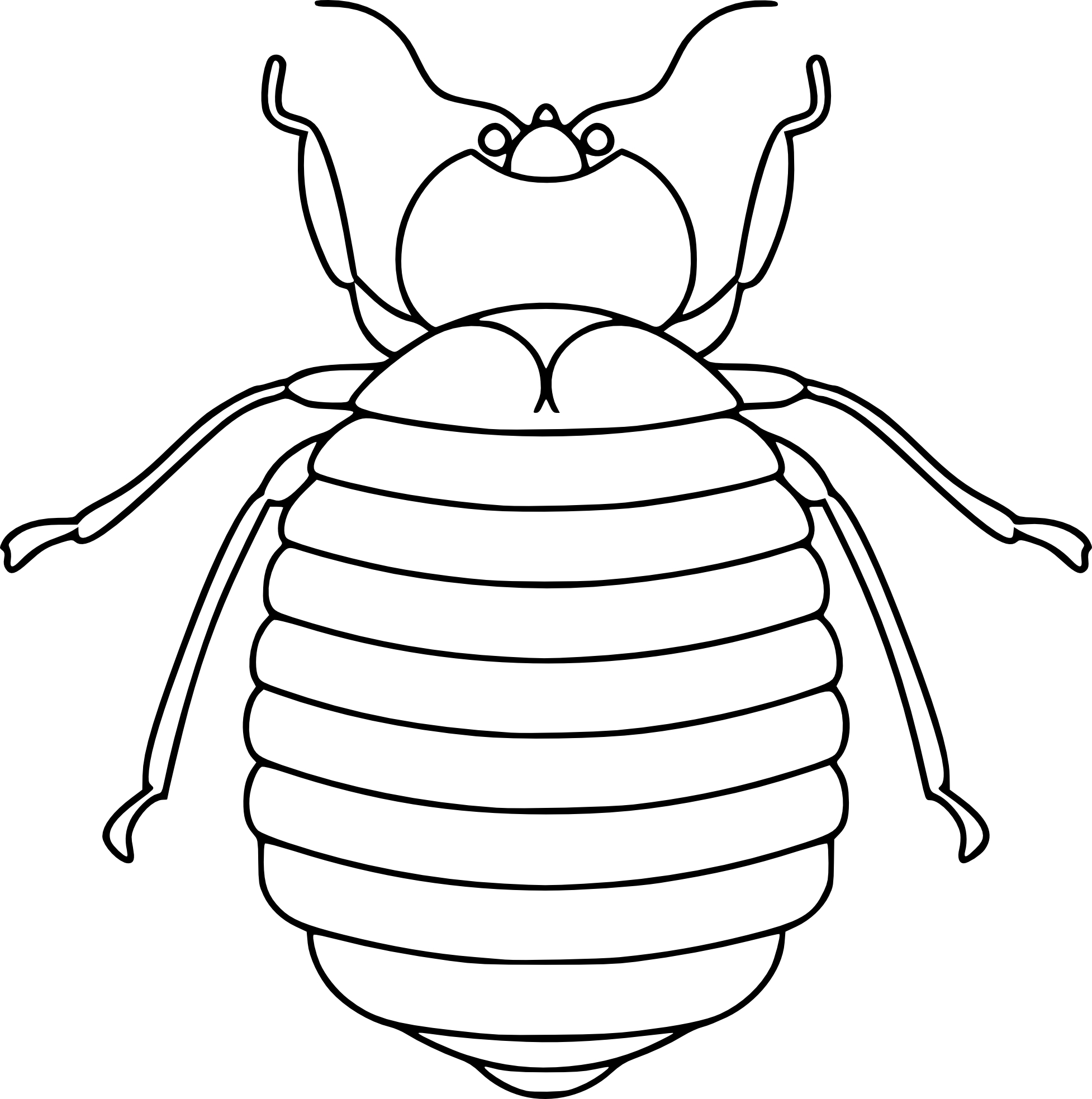 Beetle coloring page