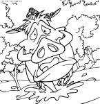 Timon And Pumba coloring page