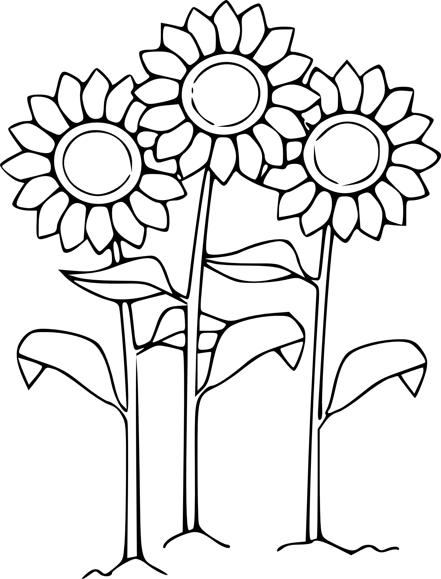 Sunflower coloring page