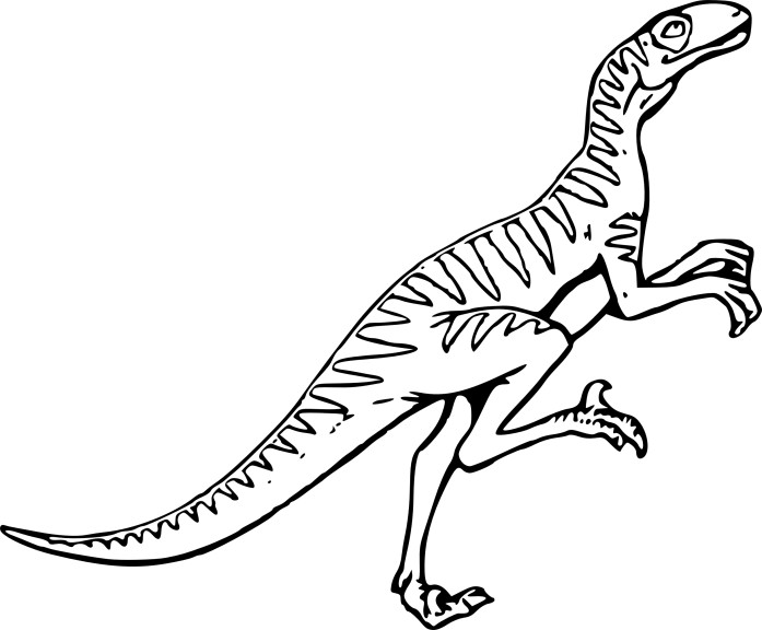 Coloriage velociraptor