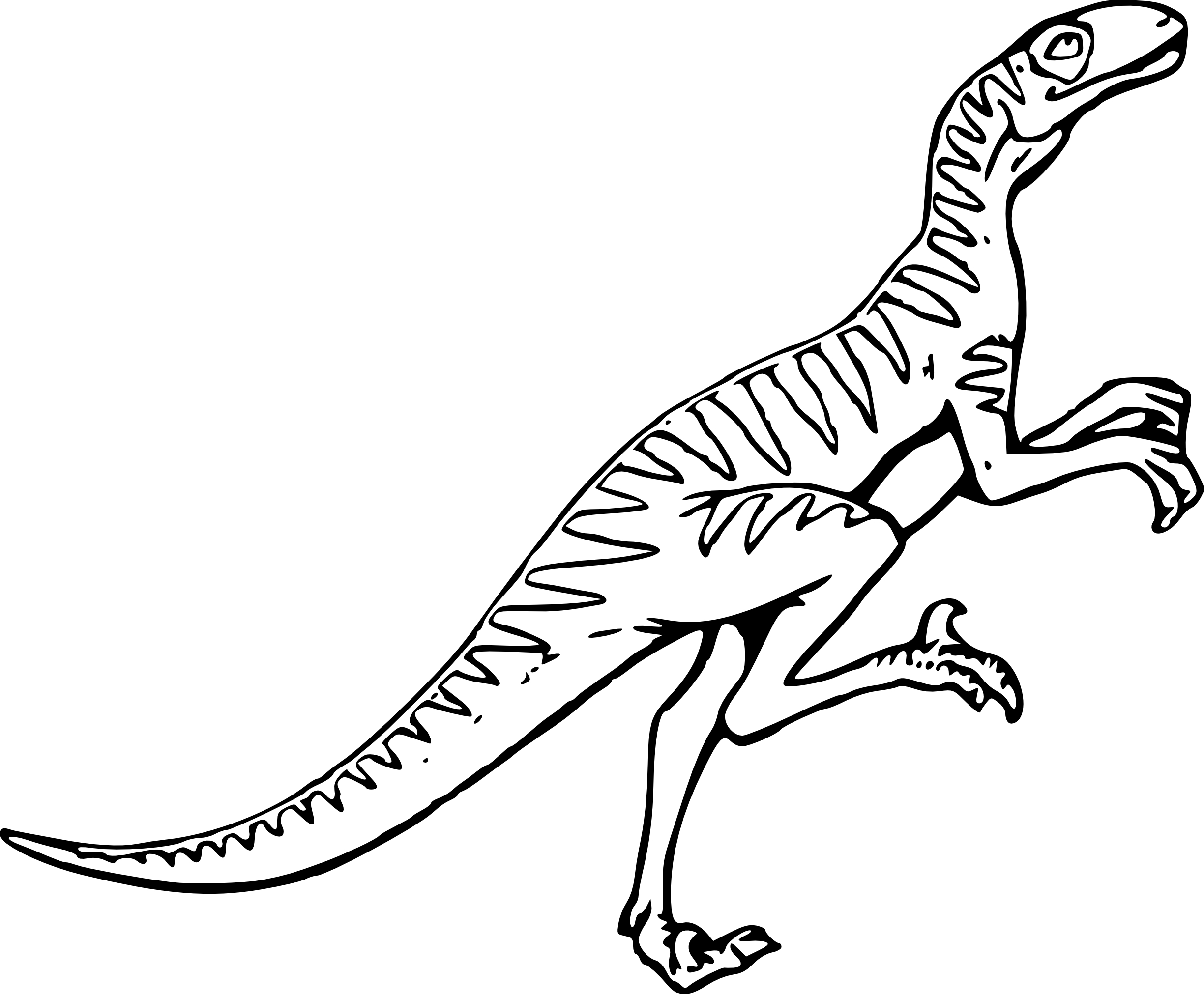 Coloriage velociraptor