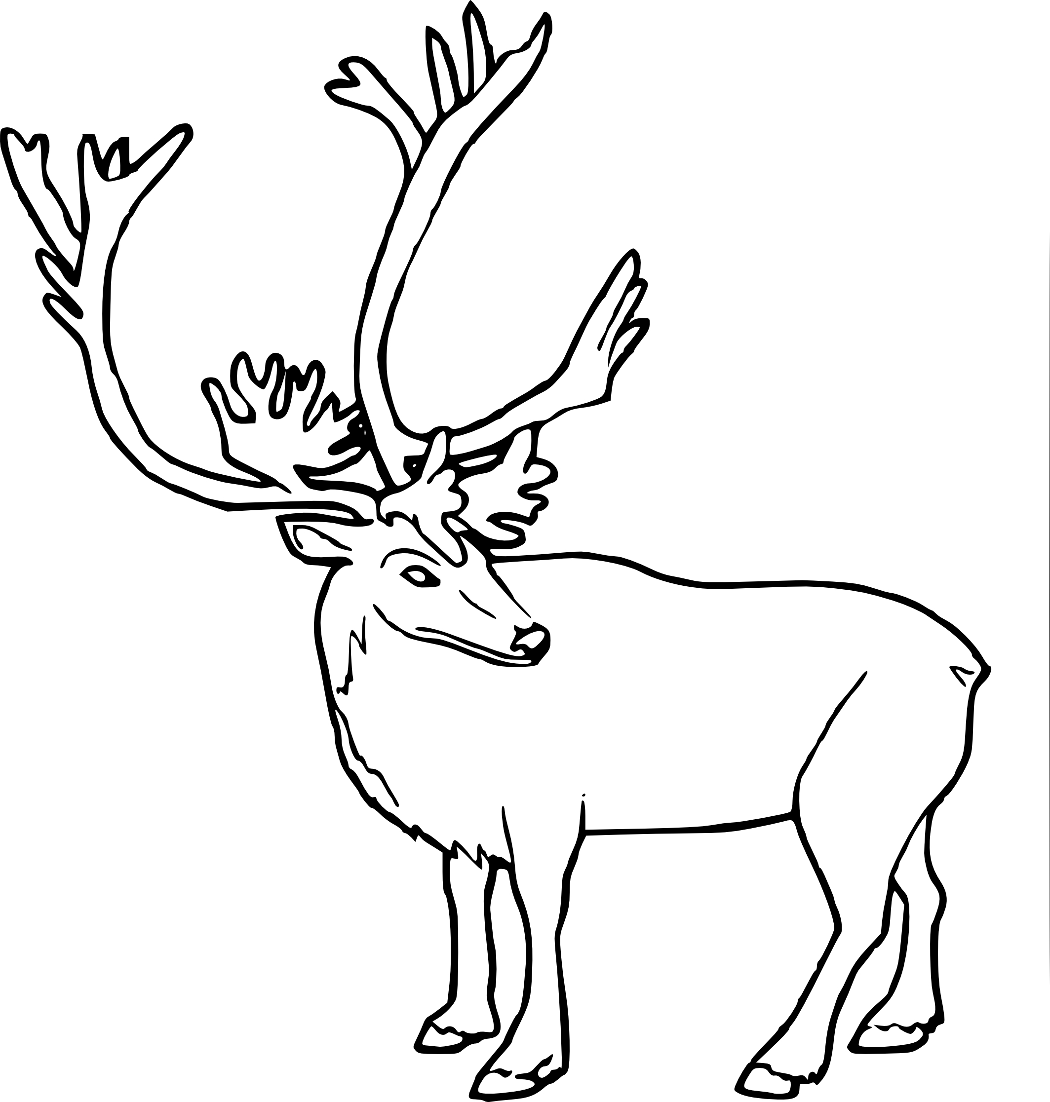 Caribou drawing and coloring page