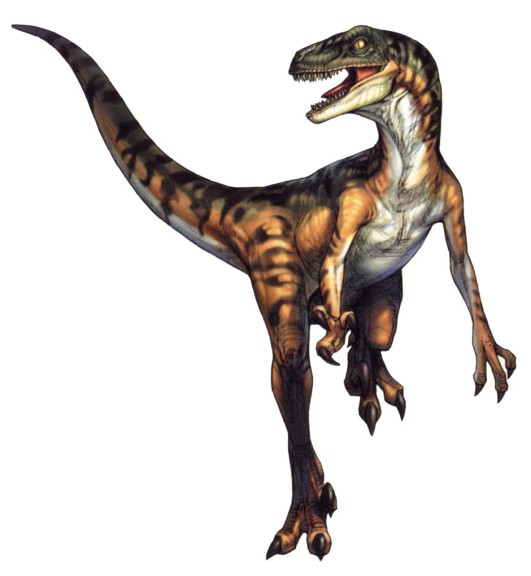 Disegno di Dinosauro Velociraptor da colorare