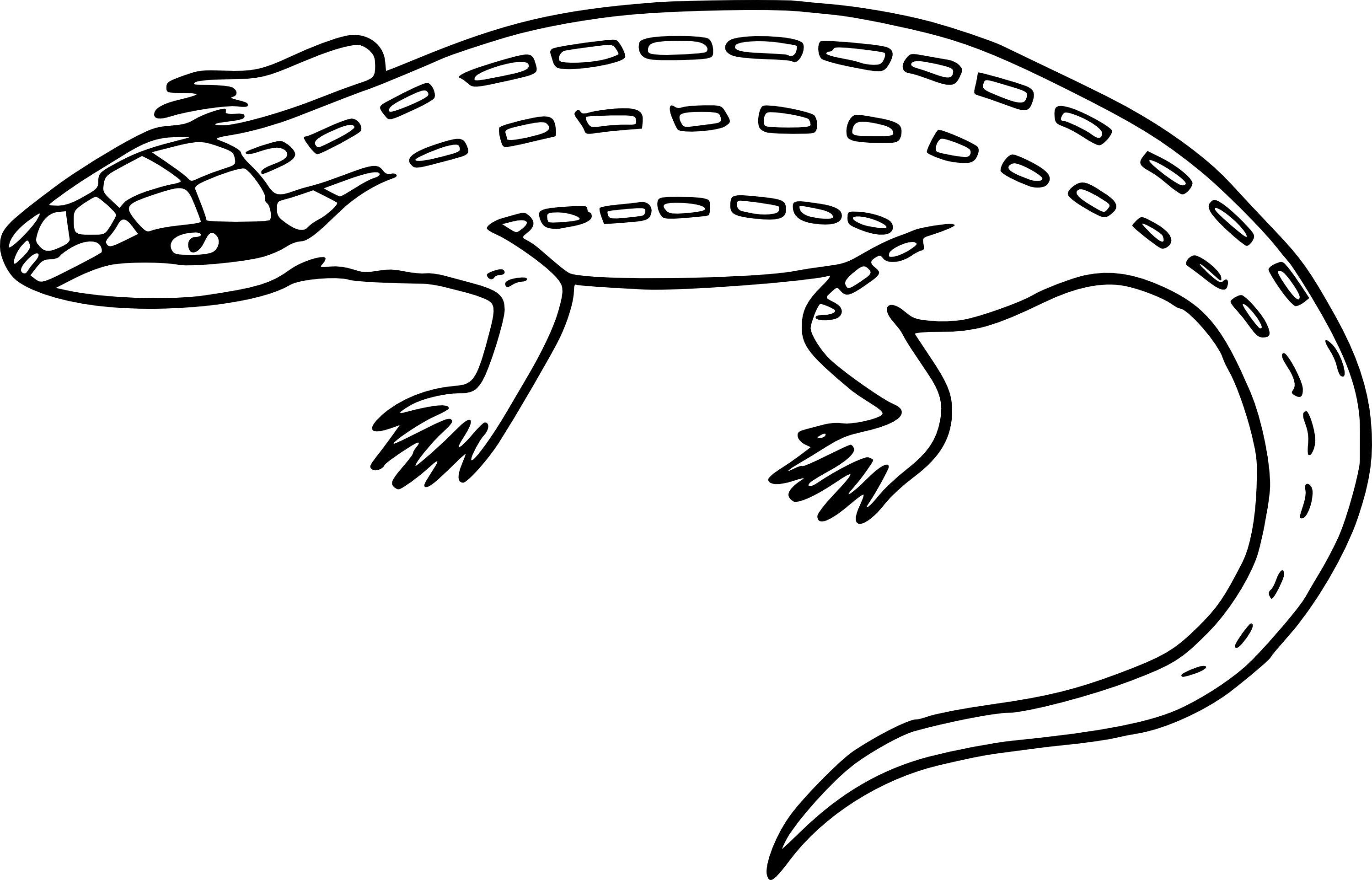Lizard drawing and coloring page