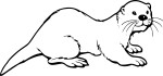 Free Otter coloring page