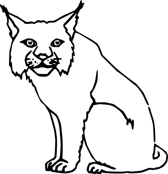 Free Lynx coloring page
