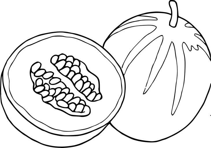 Free Melon coloring page