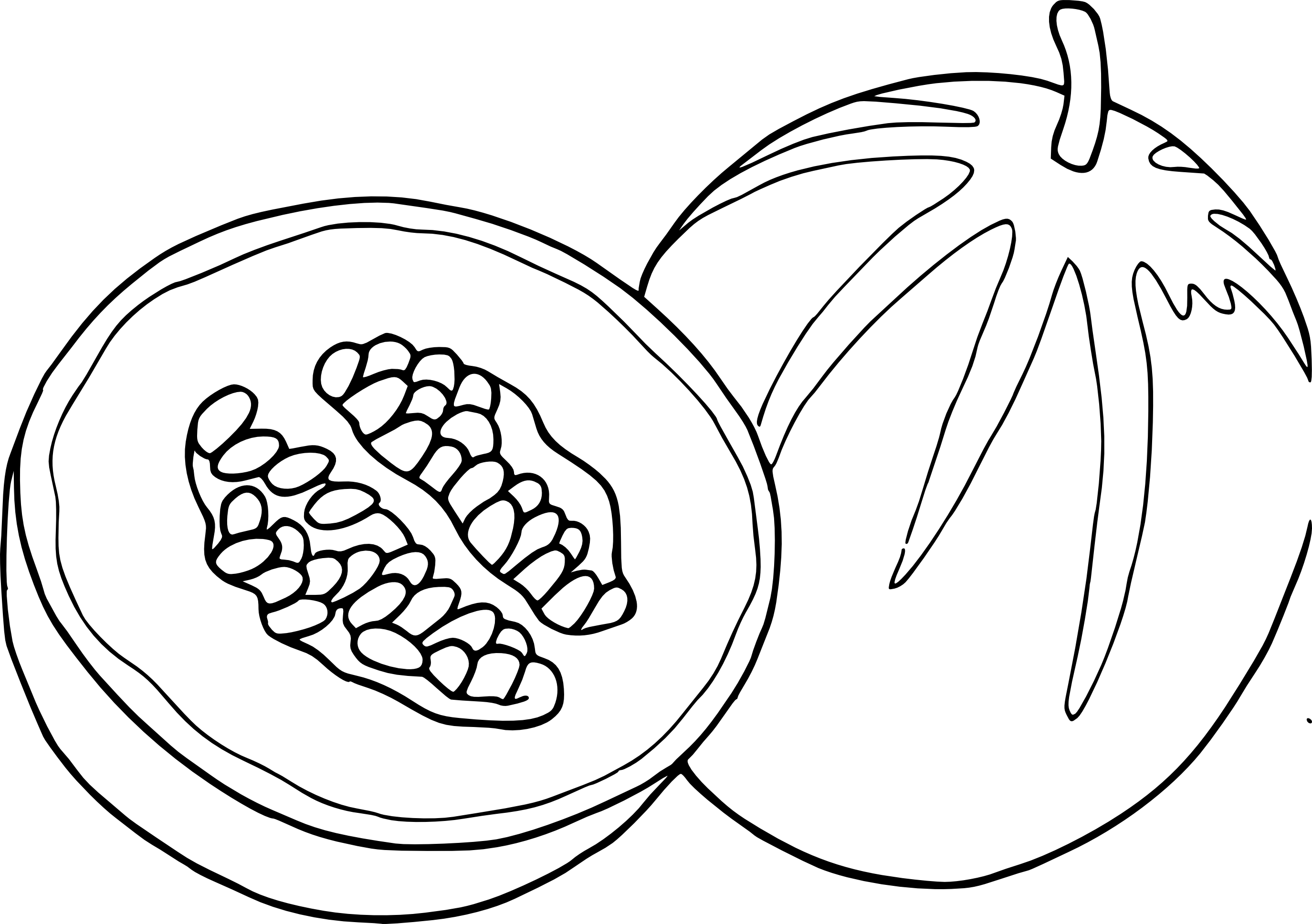 Free Melon coloring page