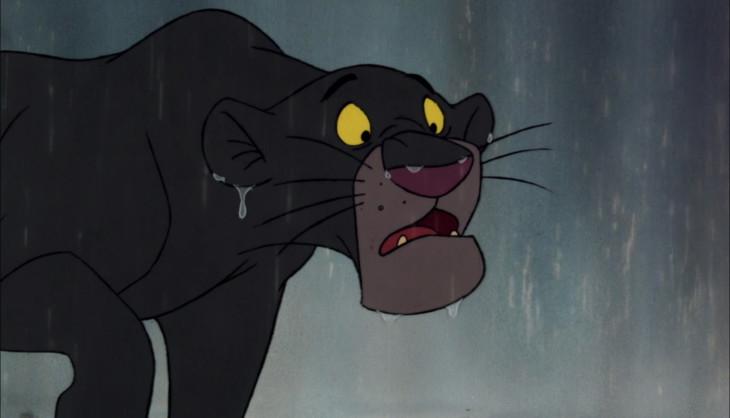 Panther Bagheera