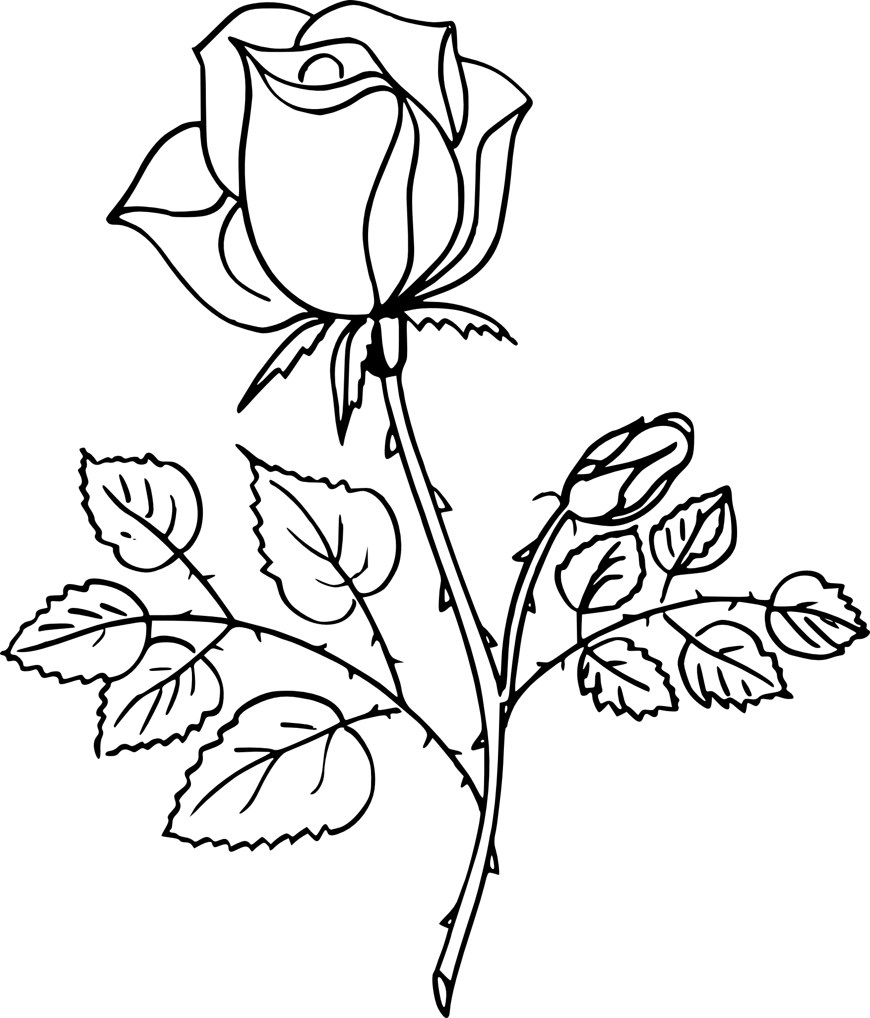 Pink drawing and coloring page