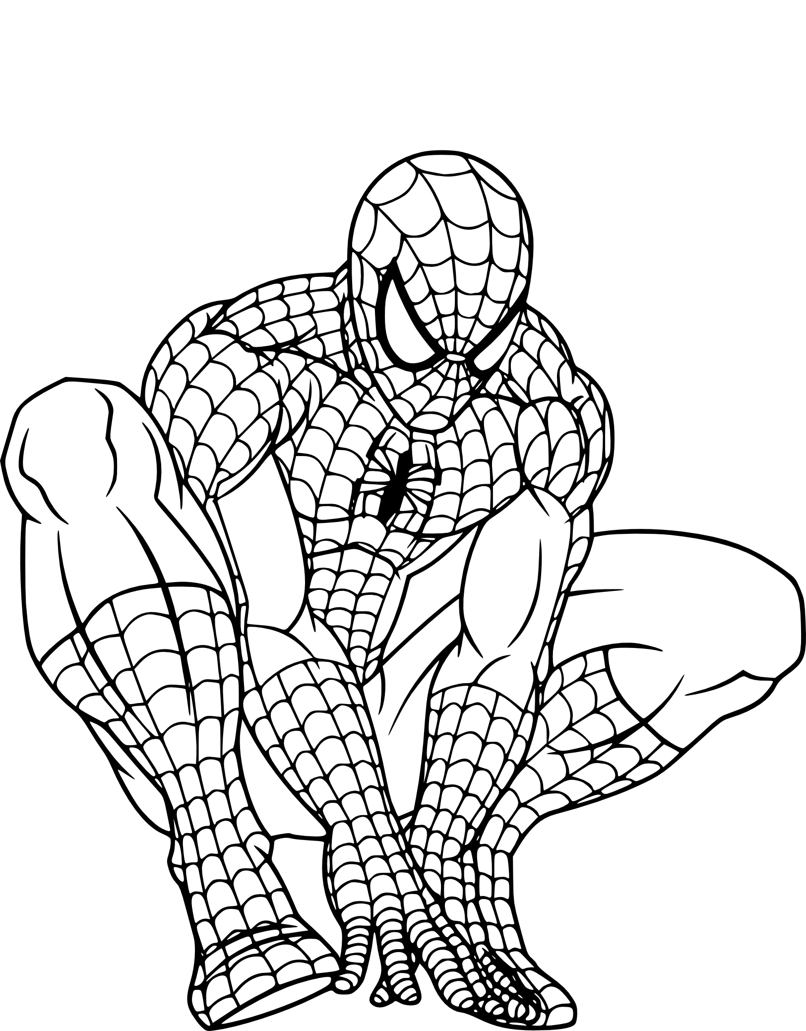 Spiderman drawing and coloring page