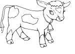 Calf drawing and coloring page