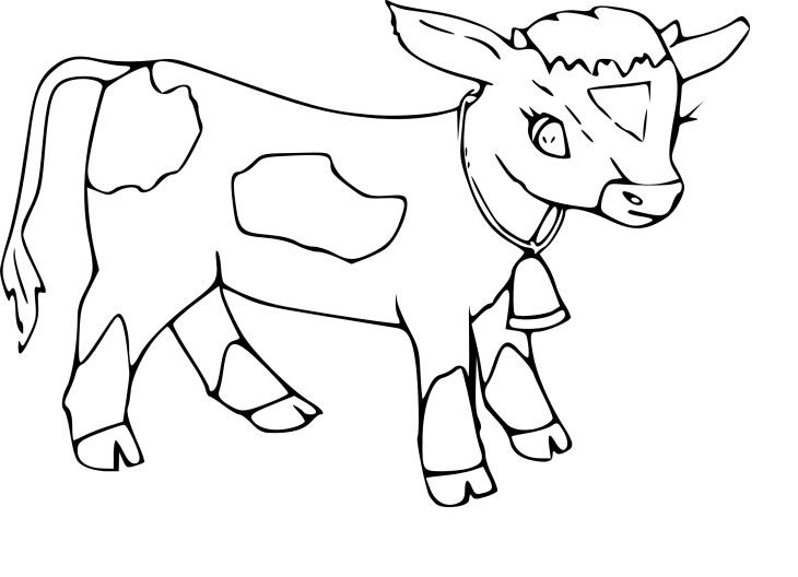 Calf drawing and coloring page