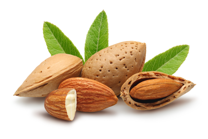 Almond