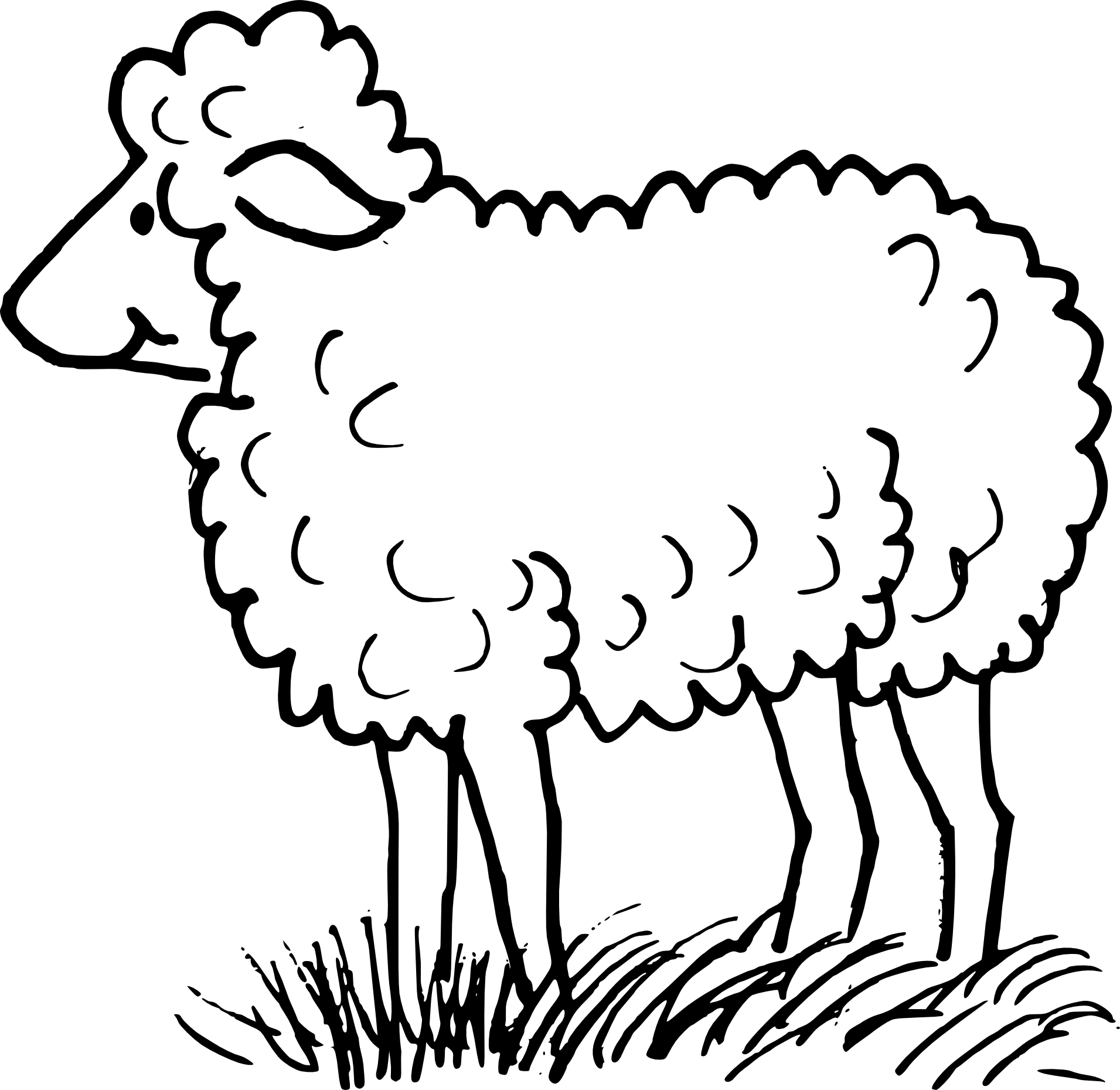 Sheep drawing and coloring page 2