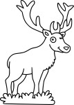 Deer drawing and coloring page