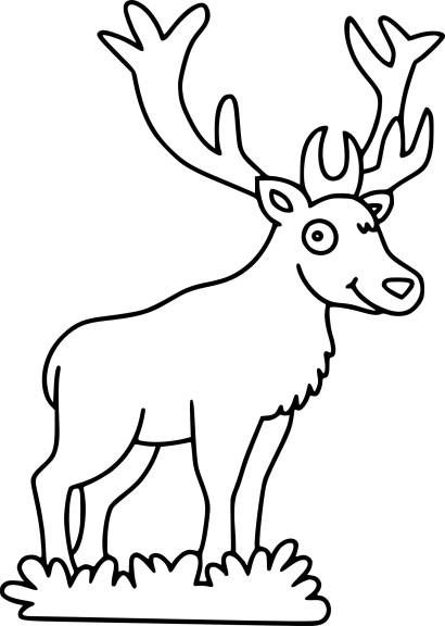 Deer drawing and coloring page