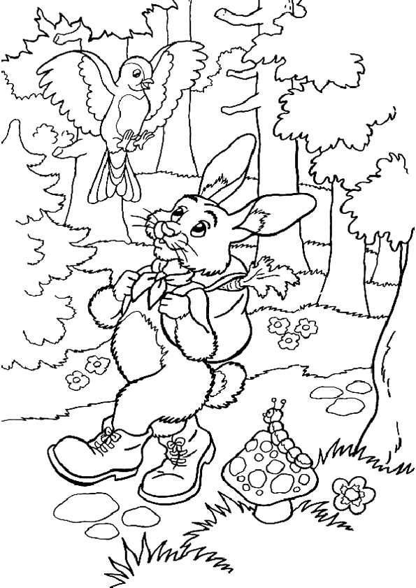 Coloriage animaux foret